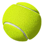 Winnita Locandina Tennis