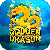 Winnita Casino – Drago dorato con monete su sfondo marino