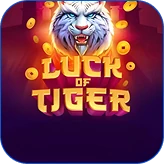 Winnita Casino – Tigre bianca ringhiante circondata da monete d’oro
